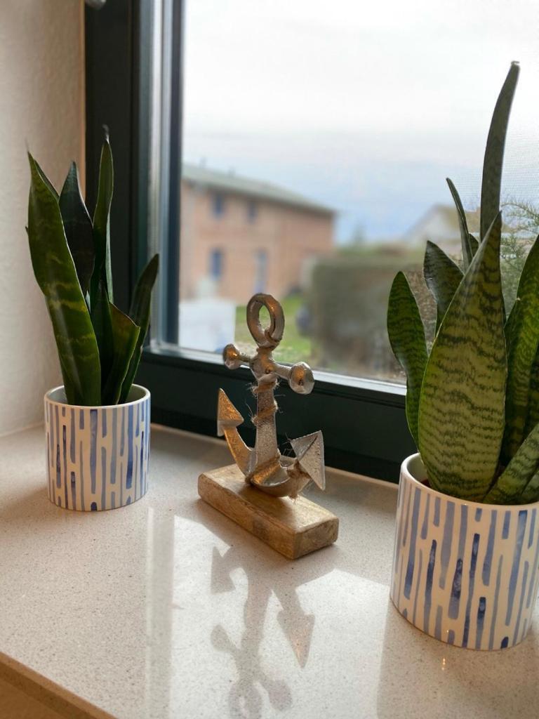 Ferienwohnung Gross Zicker
