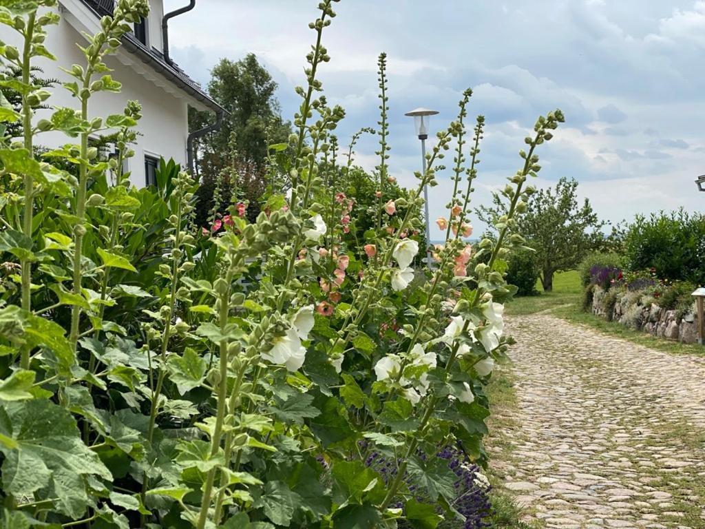 Ferienwohnung Gross Zicker