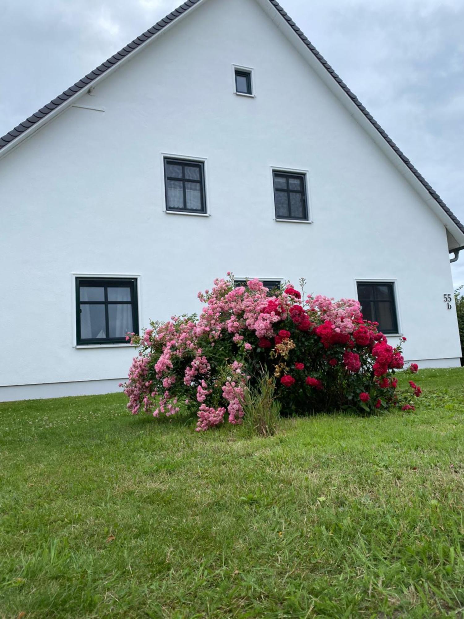 Apartment Ferienwohnung Gross Zicker Gross Zicker